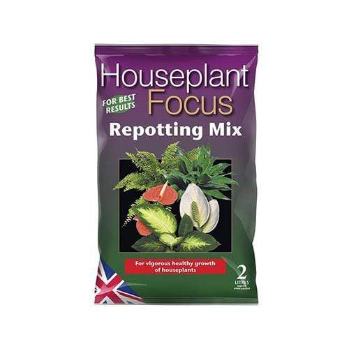 Houseplant Focus 2L Repotting Mix